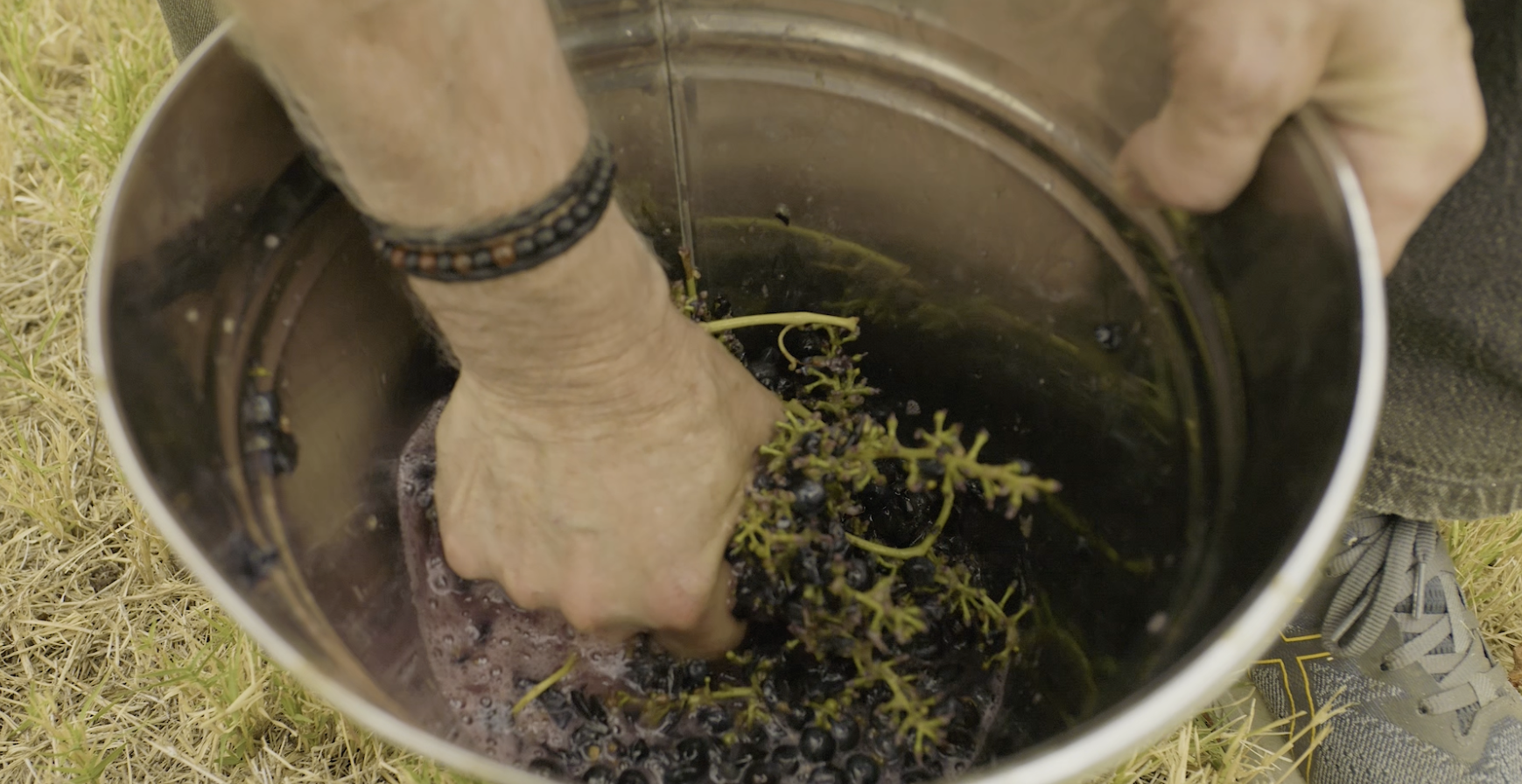 The Making of the Old Barossa Shiraz(3-8)