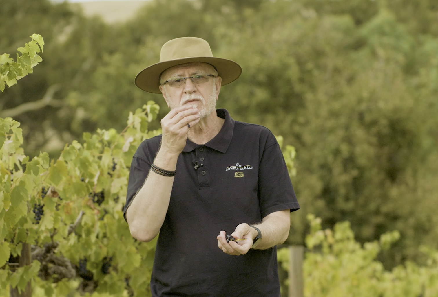 The Making of the Old Vine Barossa Shiraz(4-8)